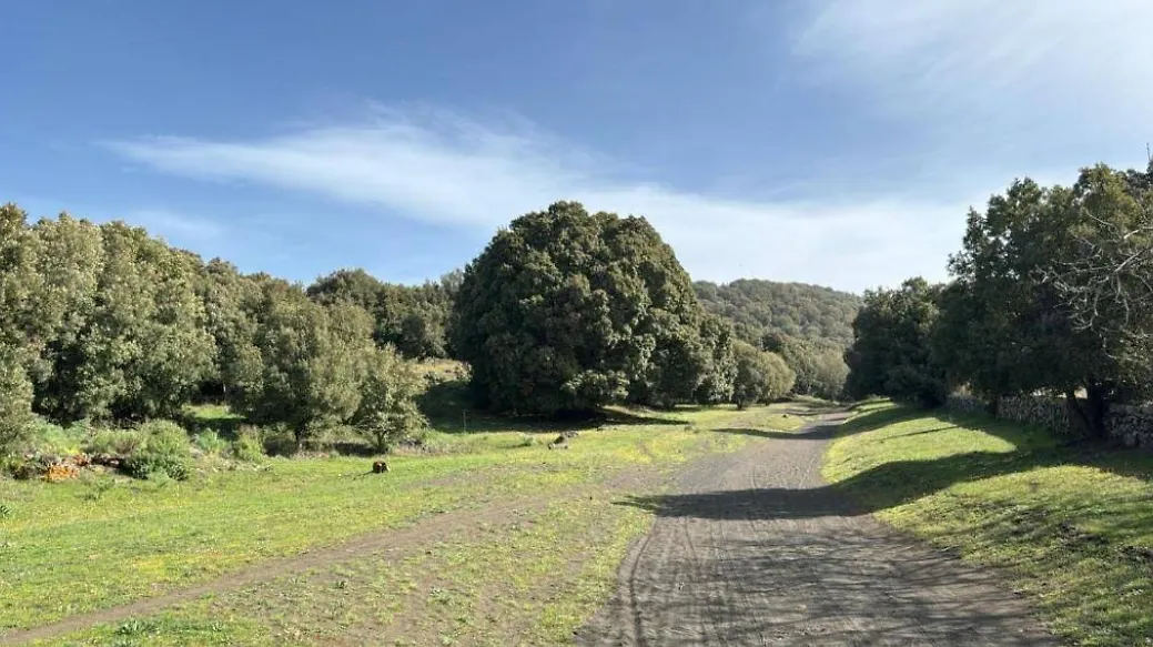 Chalet Contrada Difesa Bronte