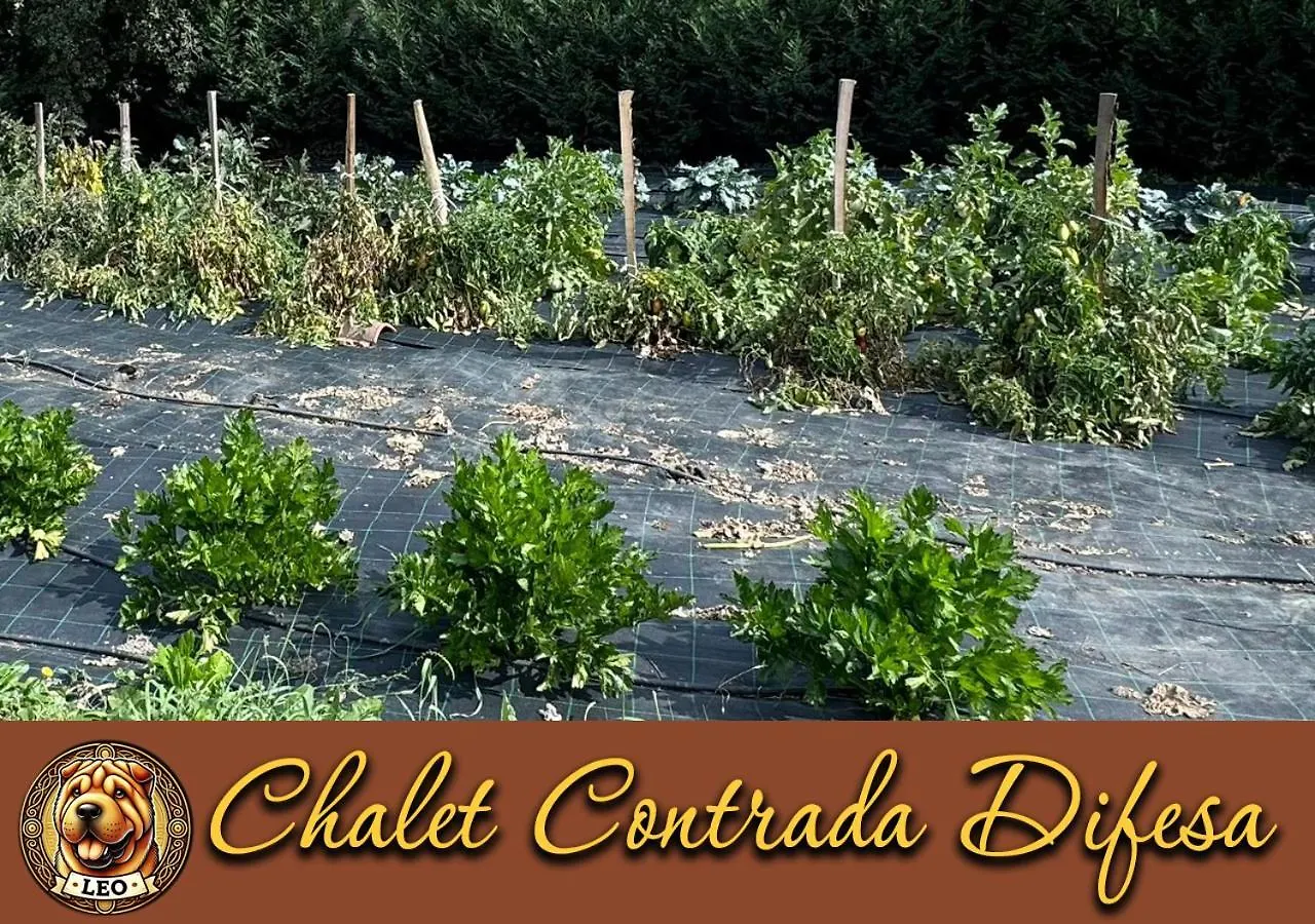 Chalet Contrada Difesa Bronte